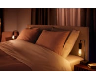 Philips Hue White ambiance Smart Żarówka Filamanet ST64 E27 - 678463 - zdjęcie 5